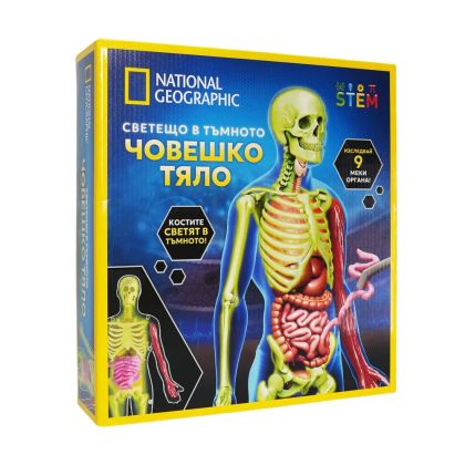 Светещо в Тъмното Човешко Тяло National Geographic 