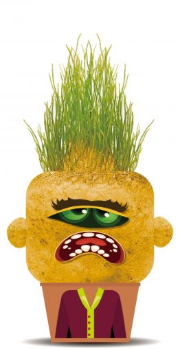 Чичко тревичко Мрачният Мери Hape H848103