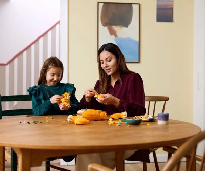 Конструктор LEGO Disney Classic 43243 Лъвчето Симба