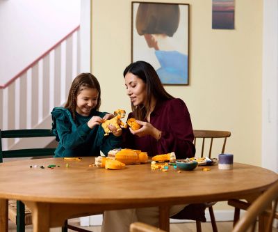 Конструктор LEGO Disney Classic 43243 Лъвчето Симба