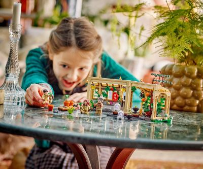 Конструктор LEGO Harry Potter 76445 Замъкът Хогуортс: Час по билкология