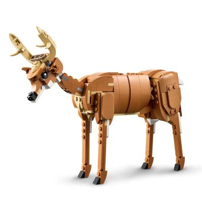 Конструктор LEGO Creator 31166 Красив кон 3в1