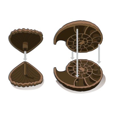 Фосили и минерали Science Play Clementoni 61409