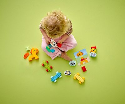 Конструктор LEGO DUPLO 10412 Влак за животни