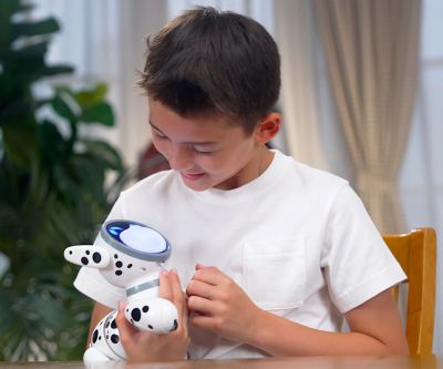 Робо кученце с радио контрол JIGGO Silverlit 88497 YCOO  