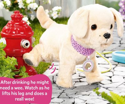 Моето кученце Лъки с преносима къщичка Zapf Creation 835869