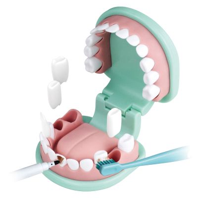 Малкият Зъботехник EDU TOYS TH008