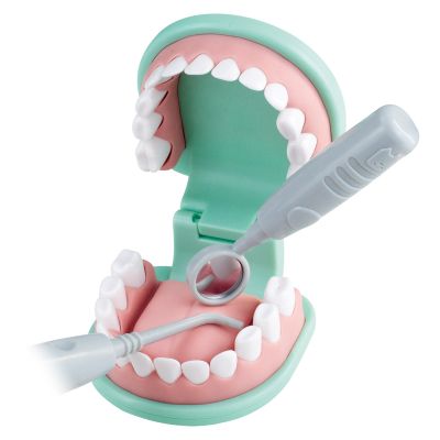 Малкият Зъботехник EDU TOYS TH008