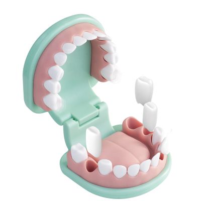 Малкият Зъботехник EDU TOYS TH008