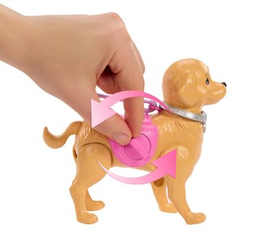 Комплект Барби с акащо кученце Mattel JJB46 Кукла Barbie 