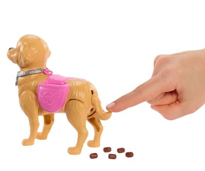 Комплект Барби с акащо кученце Mattel JJB46 Кукла Barbie 