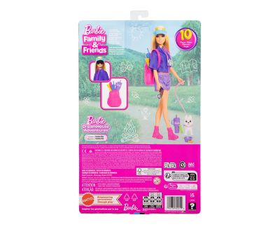 Кукла Barbie Малибу с коте Mattel JJV59