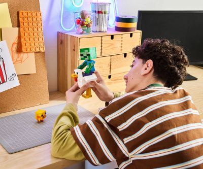 Конструктор Жокей на пилета LEGO Minecraft 21582 