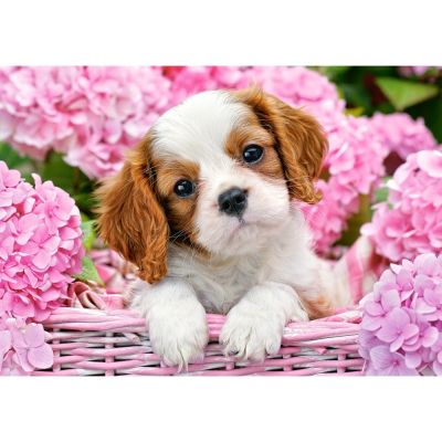Кученце в розови цветя