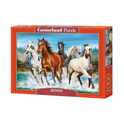 Castorland Пъзел Коне 2000 части - 200702