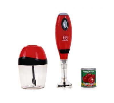 PlayGo Пасатор 