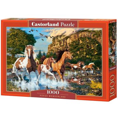 Пъзел Castorland 1000 части Приказен свят 104789