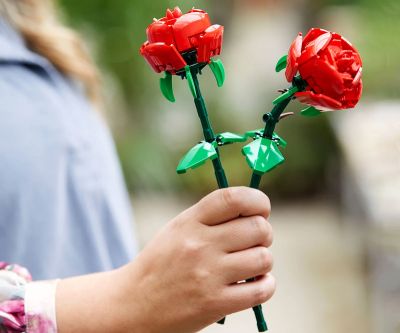 Конструктор LEGO Iconic 40460 - Рози