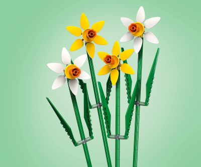 Конструктор LEGO Iconic 40747 - Нарциси