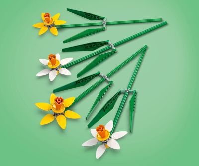 Конструктор LEGO Iconic 40747 - Нарциси