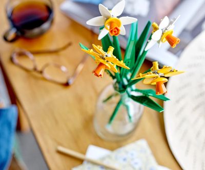 Конструктор LEGO Iconic 40747 - Нарциси