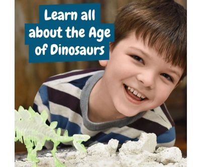 Образователна игра Разкопки на вкаменелости Стегозавър Science4you 80004807