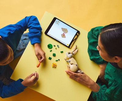 Конструктор LEGO Creator 31162 Сладко зайче