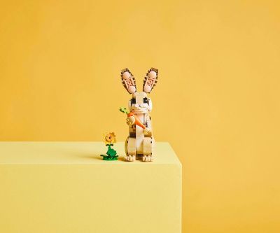 Конструктор LEGO Creator 31162 Сладко зайче