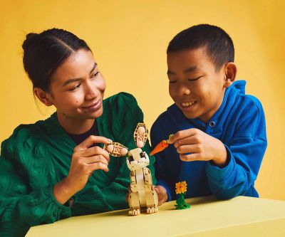 Конструктор LEGO Creator 31162 Сладко зайче