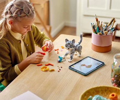 Конструктор Игрива котка LEGO Creator 31163 