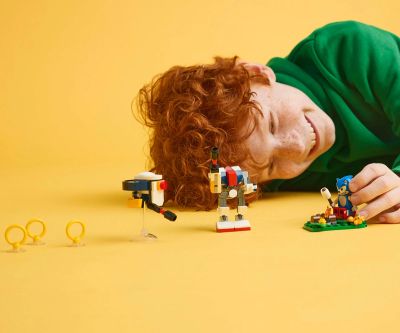 Конструктор LEGO Sonic the Hedgehog 77001 Сблъсък край лагерния огън на Sonic